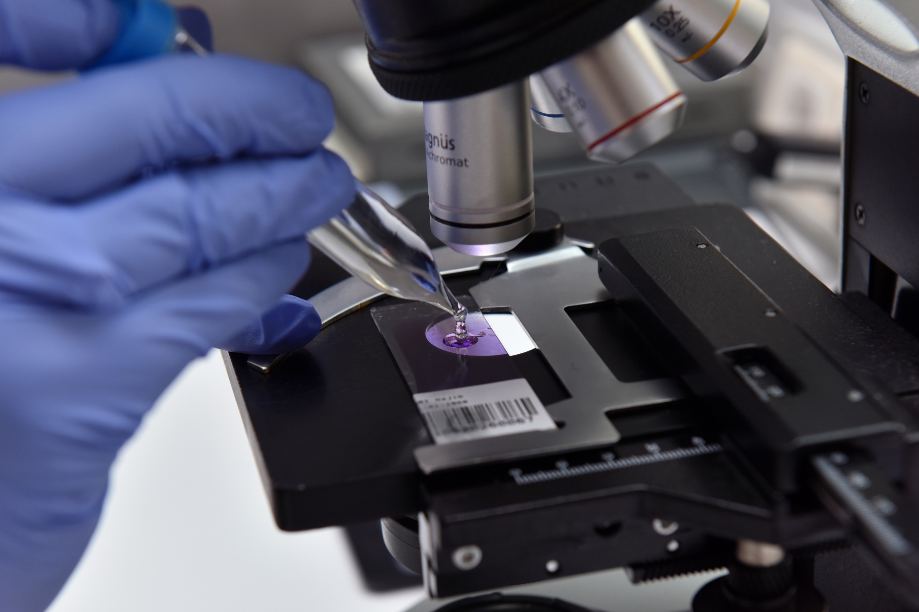 Microscope binoculaire avec lame d'analyse